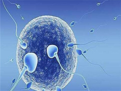 私人同性代怀助孕怎么收费